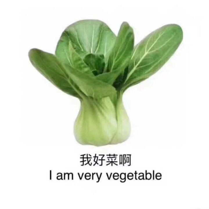 我好菜啊