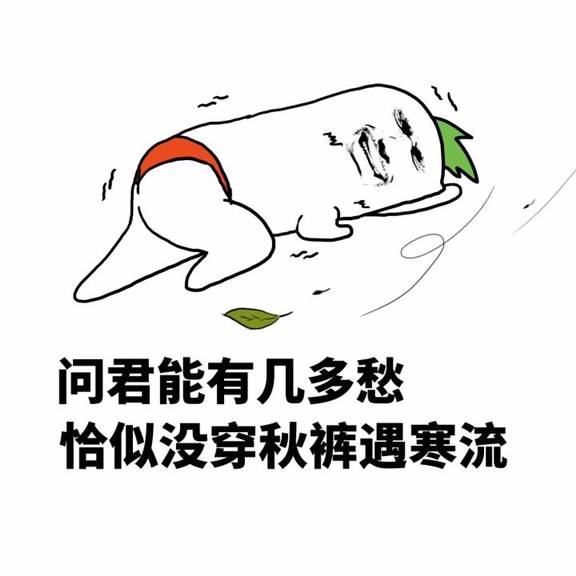 问君能有几多愁，恰似没穿秋裤遇寒流