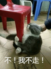 不！我不走