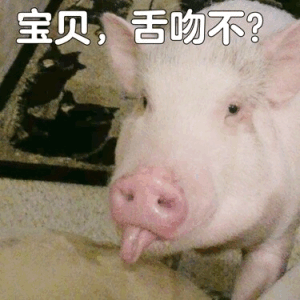 宝贝，舌吻不？