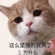 这么坚强的我哭了为什么