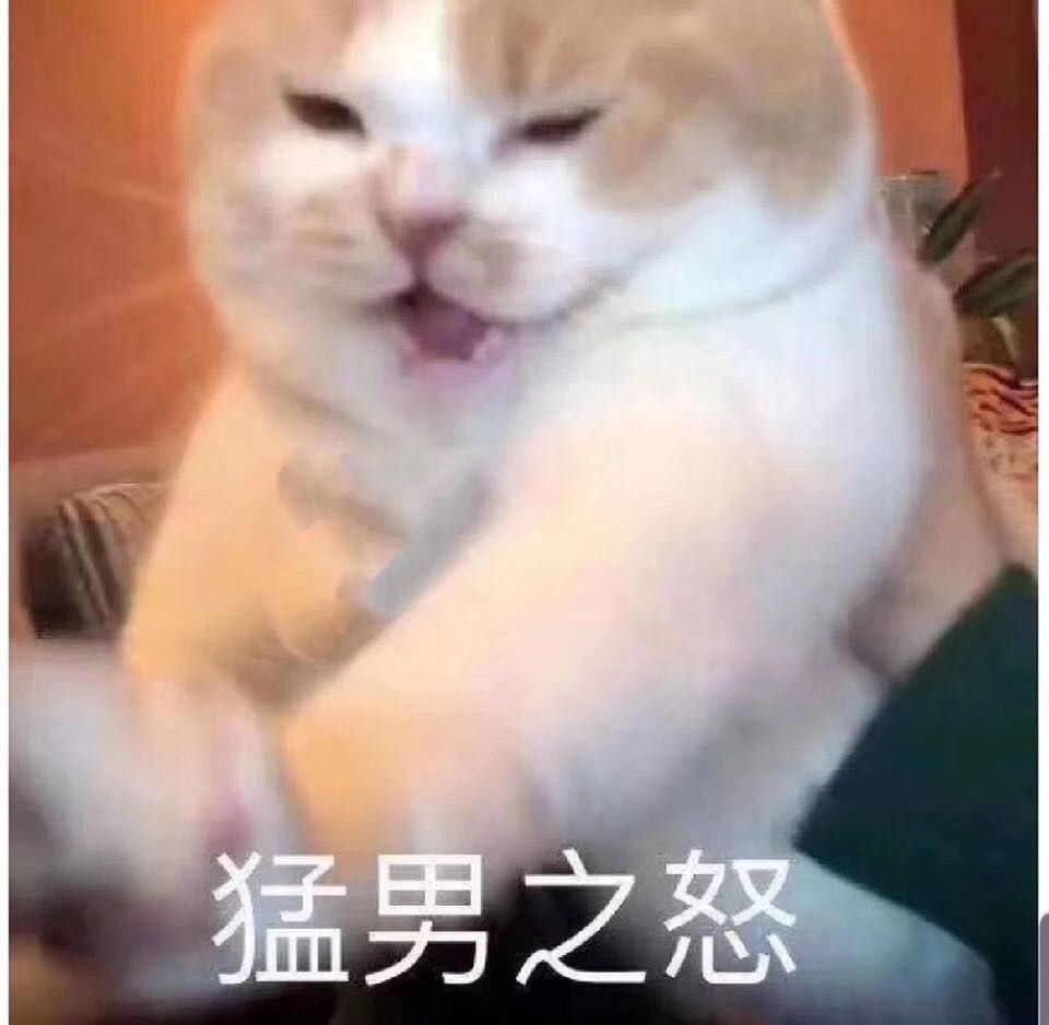 猛男之怒