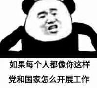 如果每个人都像你这样党和国家怎么开展工作