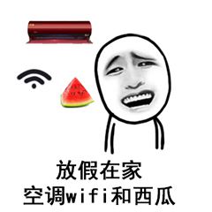 放假在家空调wifi和西瓜