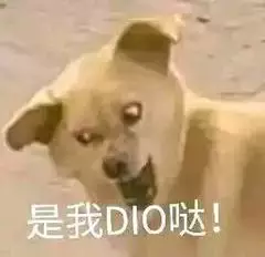 是我DIO哒！