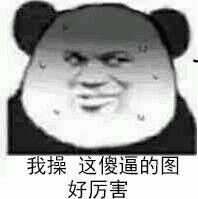 我操这傻逼的图，好厉害