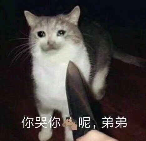 你哭你马呢？弟弟