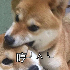 哼