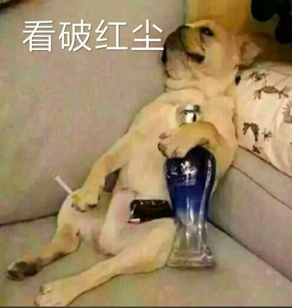 看破红尘