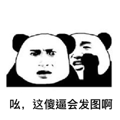 吆，这傻逼会发图啊