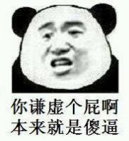 你谦虚个屁啊，本来就是傻逼