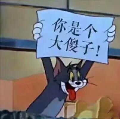 你是个大傻子！