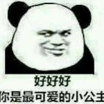 好好好，你是最可爱的小公主