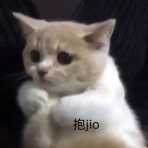 抱jio