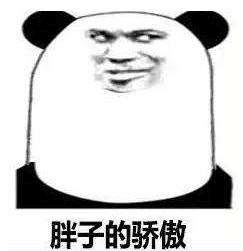 胖子的骄傲