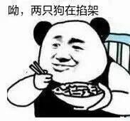 呦，两只狗在掐架