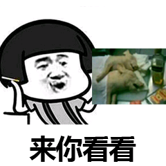 来你看看