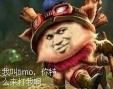 我叫timo，你特么来打我啊