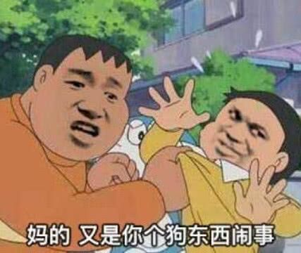 妈的又是你个狗东西闹事