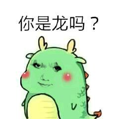 你是龙吗？