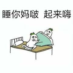 睡你妈啵，起来嗨