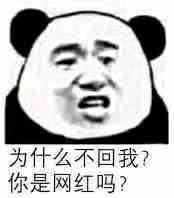 为什么不回我？你是网红吗？