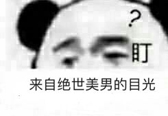 来自绝世美男的目光