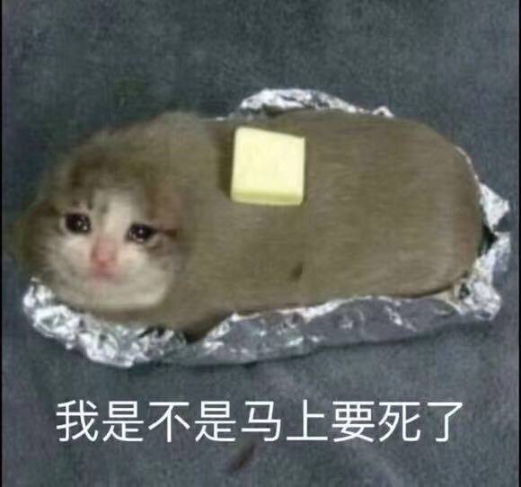 我是不是马上要死了