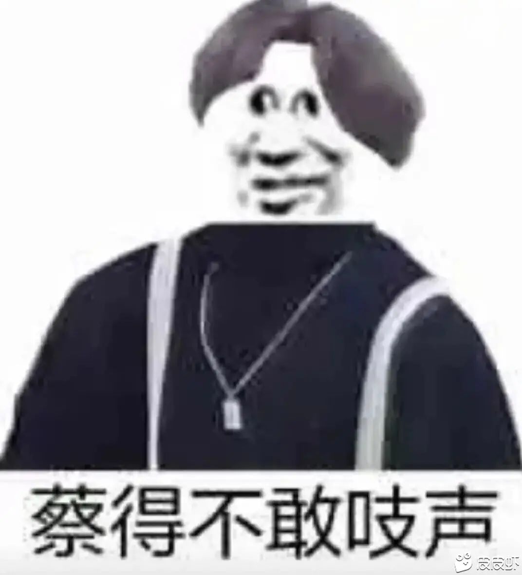 蔡得不敢吱声