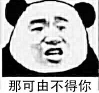 那可由不得你