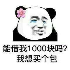 能借我1000块吗？我想买个包