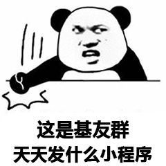 这是基友群，天天发什么小程序