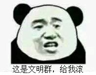 这是文明群，给我滚