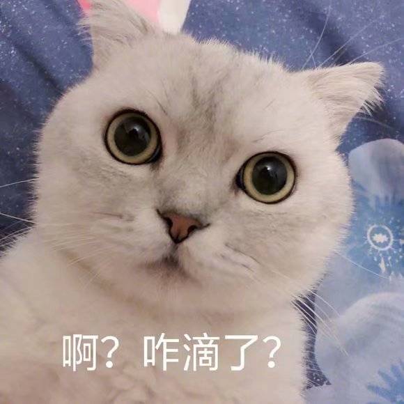 啊？咋滴了？