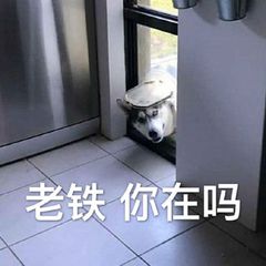 老铁你在吗