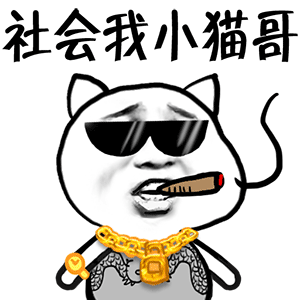 社会我小猫哥