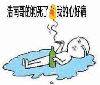 浩南哥的狗死了，我的心好痛