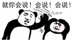 就你会说！会说！会说！