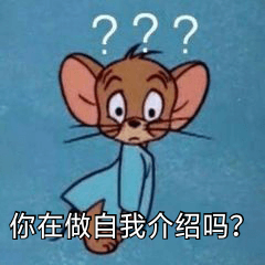 你在做自我介绍吗？