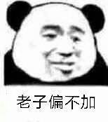 老子偏不加