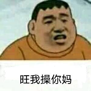 旺我操你妈