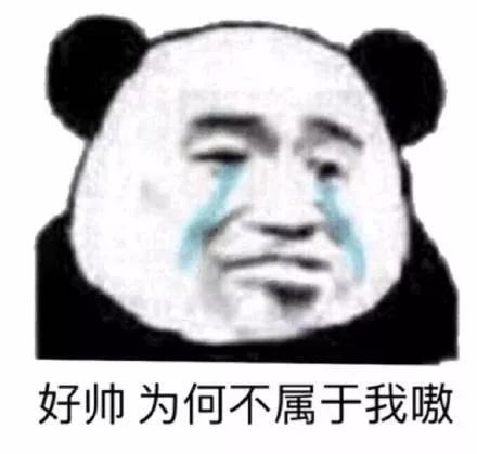 好帅为何不属于我嗷