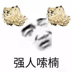 强人嗦楠