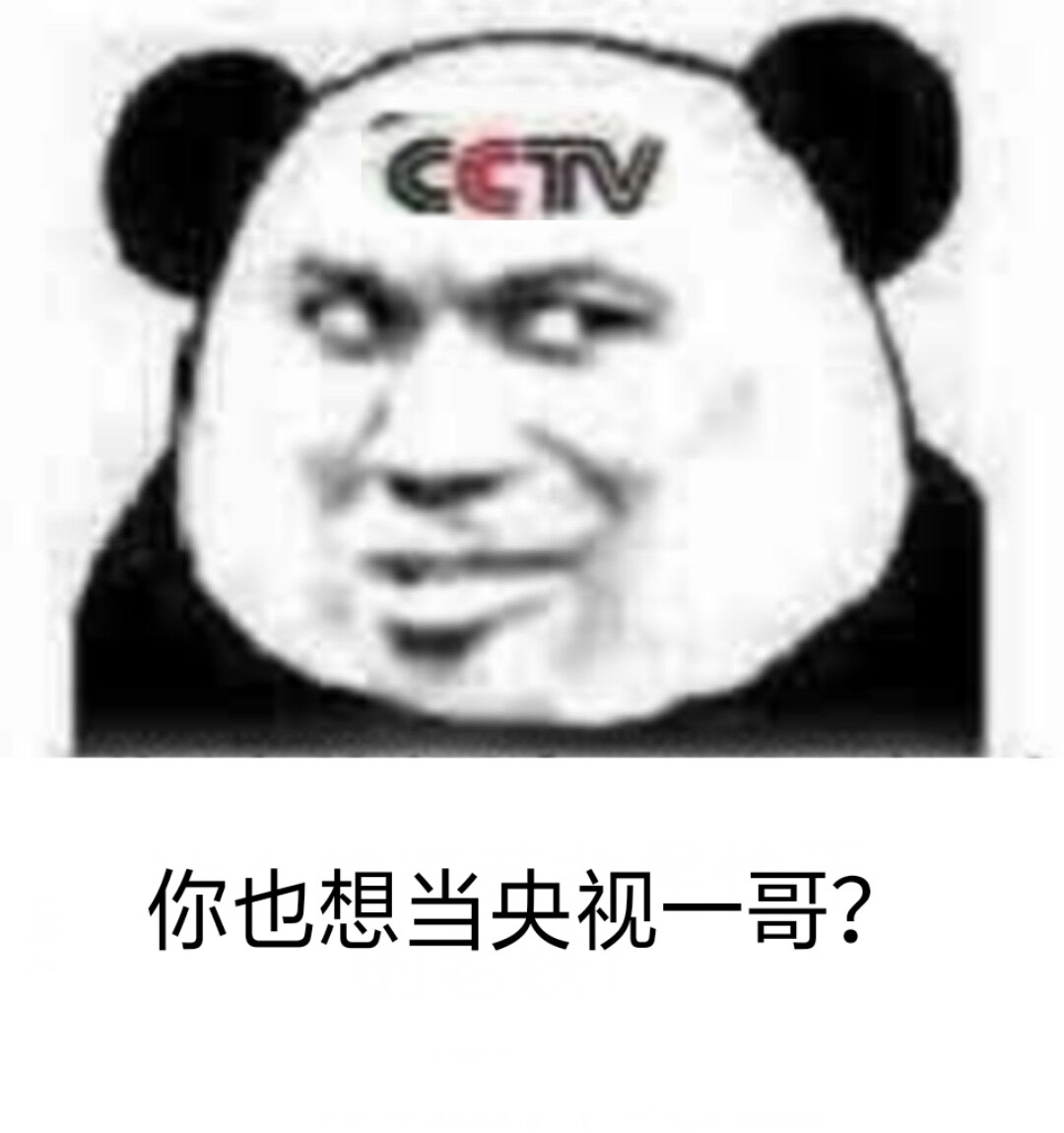 CCTV 你也想当央视一哥？