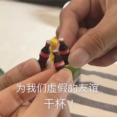 为我们虚假的友干杯