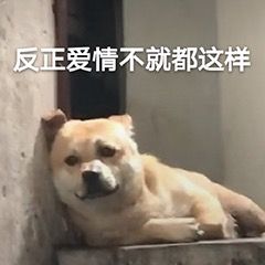 反正爱情不就都这样