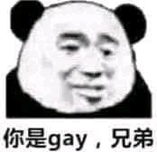 你是gay，兄弟