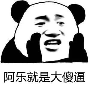 阿乐就是大傻逼