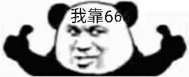 我靠66