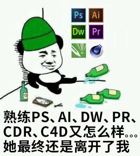 熟练PS、AI、DW、PR、CDR、C4D又怎么样，她最终还是离开了我